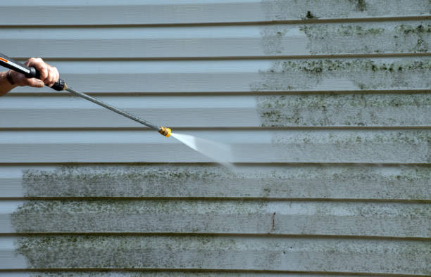 Best Fence Cleaning  in Lton, IN